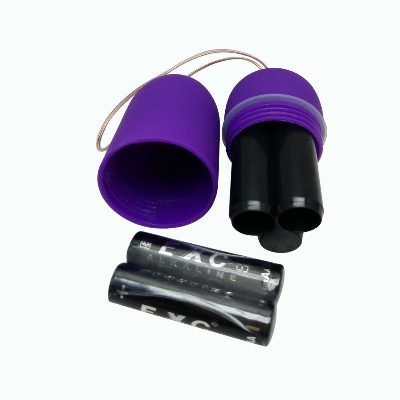 Wireless remote control vibrating egg