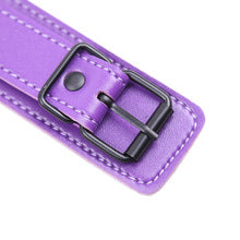 Purple Leather Collar With Nipple Clamps