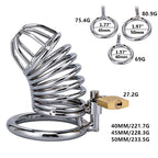 Male Chastity Bird Cage