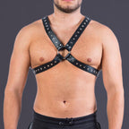 Leather Harness with Stud Detailing