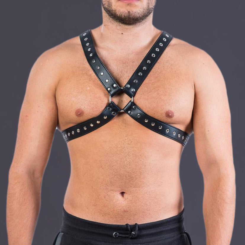 Leather Harness with Stud Detailing
