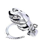 Chastity Cock Cage