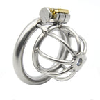 The Pen Deluxe Stainless Steel Locking Chastity Cage