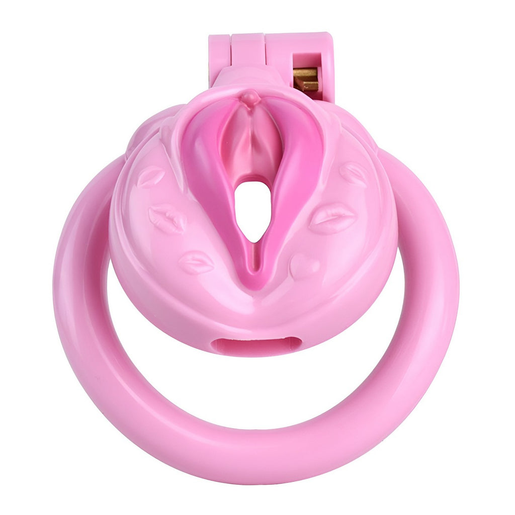 Sissy Pussy Chastity Cock Cage