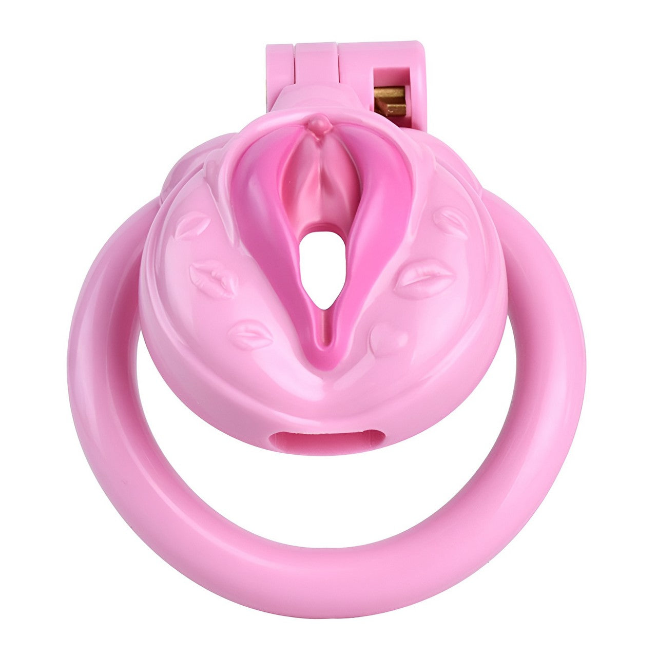 Sissy Pussy Chastity Cock Cage