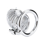 Male Chastity Bird Cage