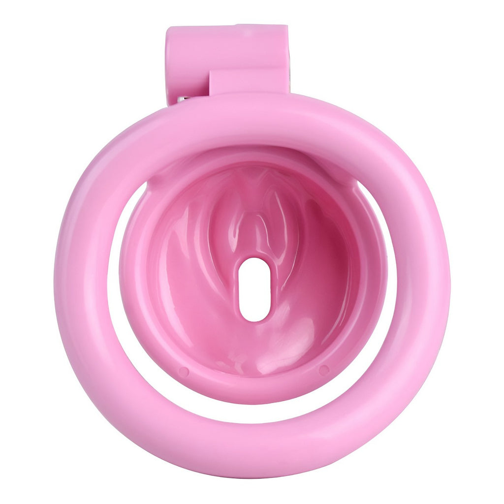 Sissy Pussy Chastity Cock Cage