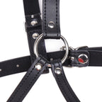 Lips Gag With Heard Harness