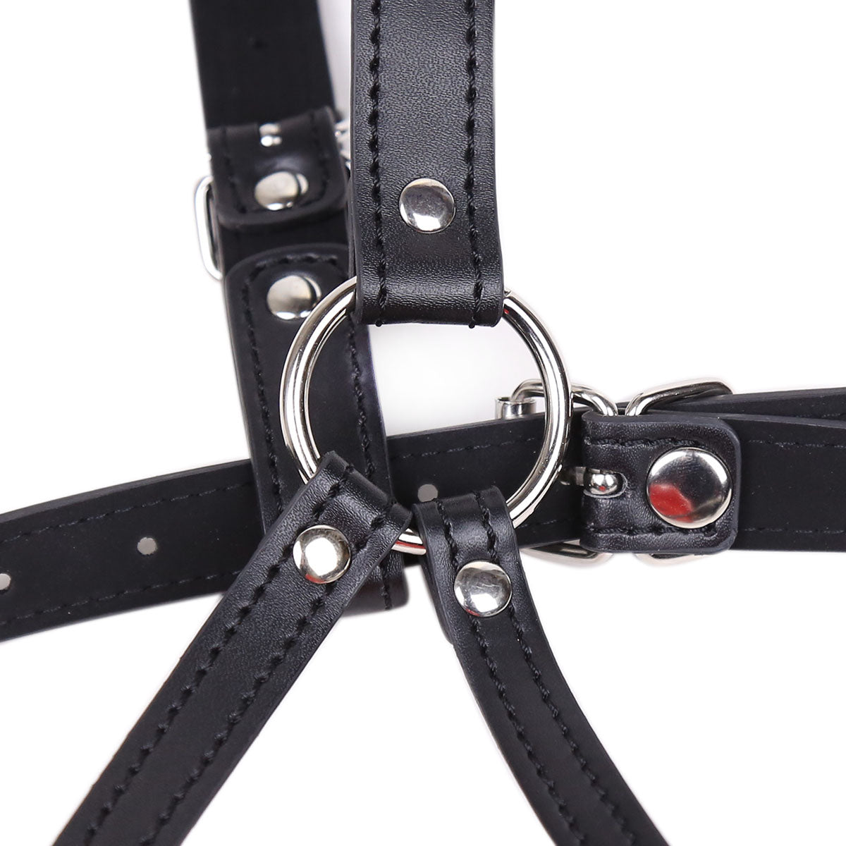 Lips Gag With Heard Harness
