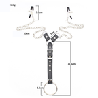 Penitentiary Nipple Clamps and Cock Ring Set